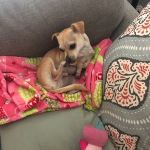 Meet your Posher, Patrick